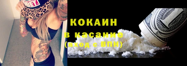 винт Арсеньев
