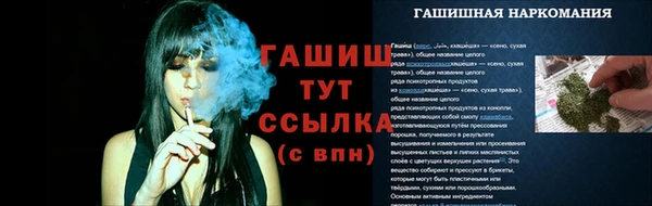 крисы Армянск
