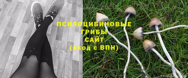 крисы Армянск