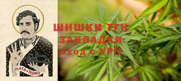 крисы Армянск