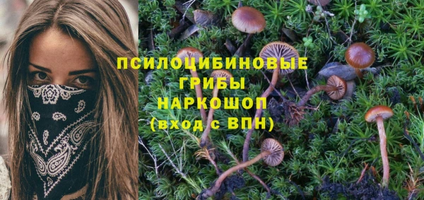 каннабис Аркадак