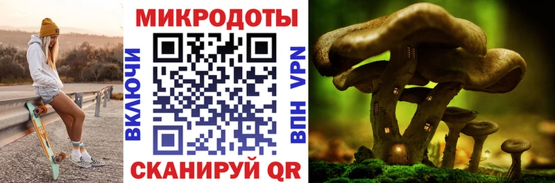 Псилоцибиновые грибы Psilocybine cubensis  площадка телеграм  Никольск 